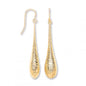 9ct Gold Imprint Drop hook Earrings.