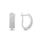 Arched Ice Hoops